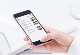 APP(图11) APP(图11)